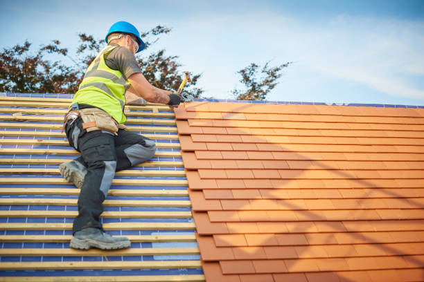 Best Roof Maintenance and Cleaning  in Sandpoint, ID